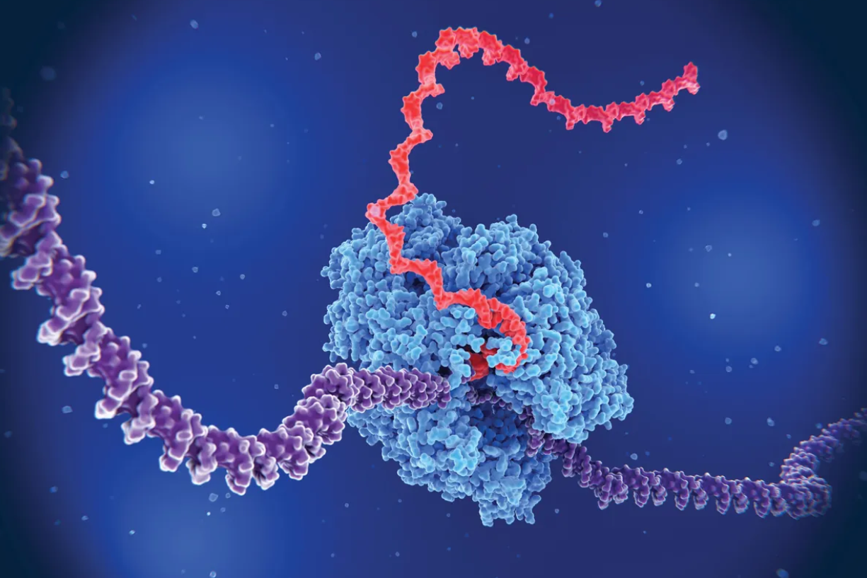 Genomics & Bioinformatics